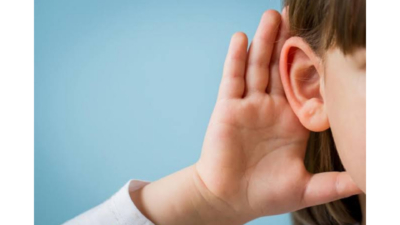 تنوع برندهای معتبر جهانی